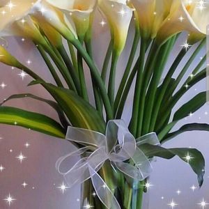 Meet your Posher, Ely